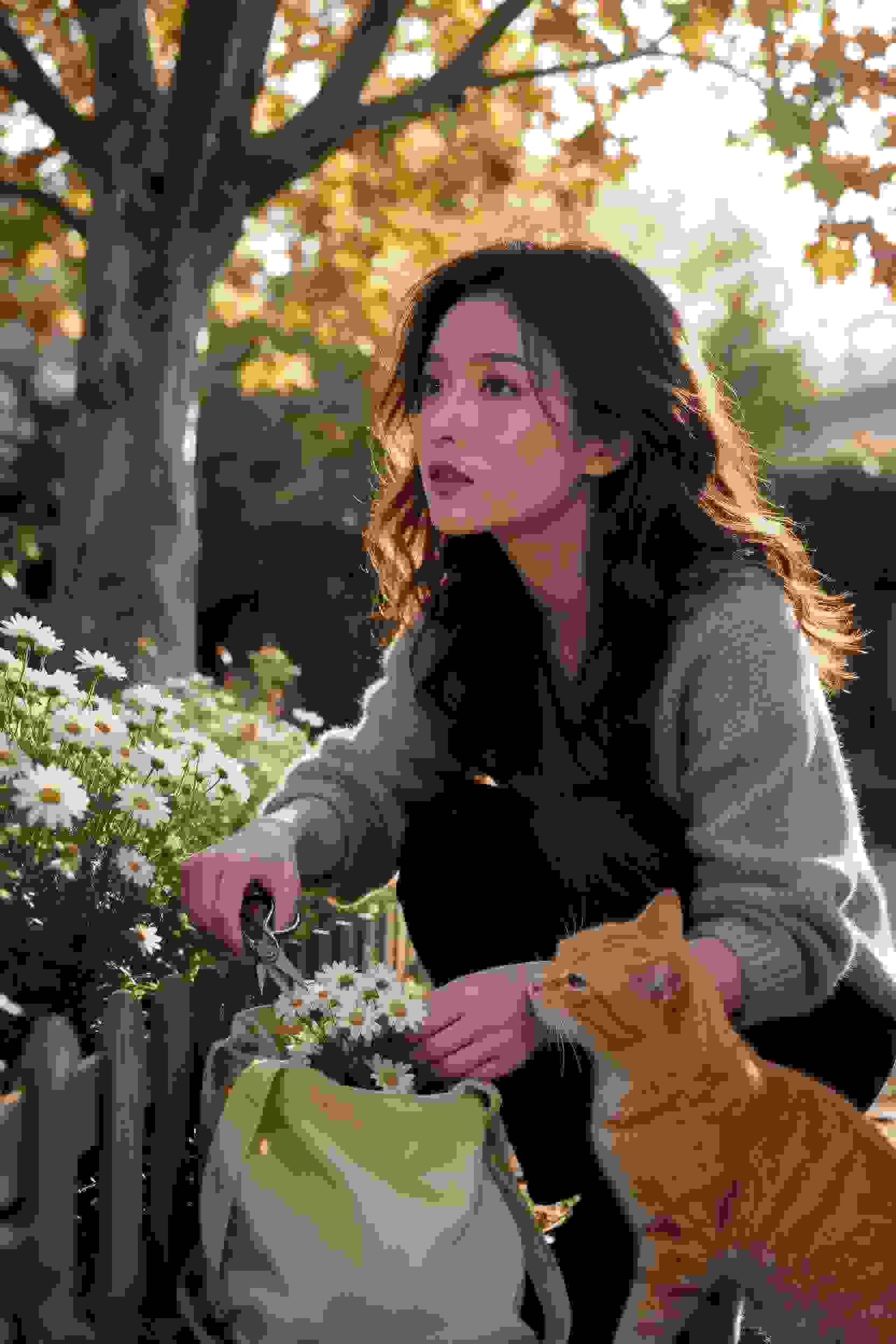 青春猪头少年