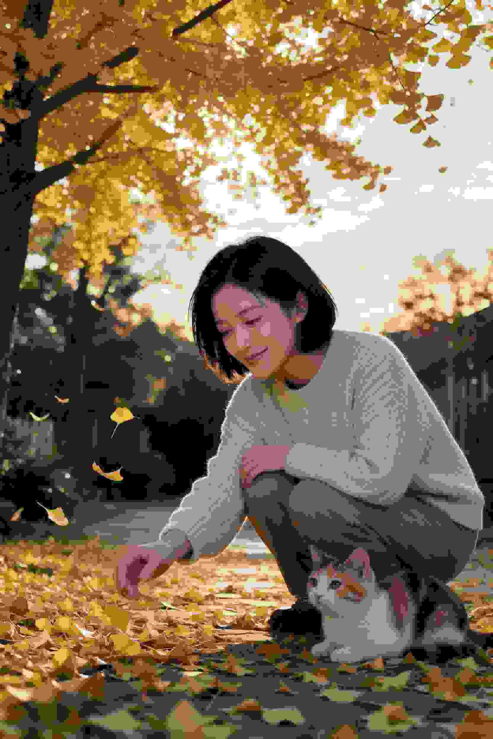 王者荣耀动画